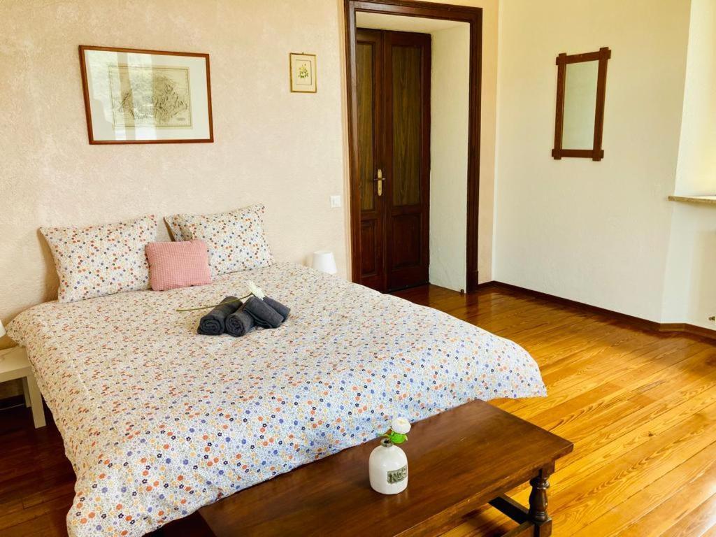 Villa Antonietta 모르코테 외부 사진